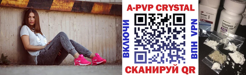 как найти   маркетплейс телеграм  Альфа ПВП крисы CK  Богородицк 