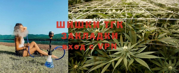 ALPHA PVP Рославль